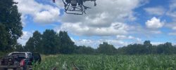 50 mil hectáreas de campo chileno están introduciendo uso de drones