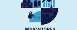 Exportaciones lácteas chilenas:  Crecen envíos en valor y volumen