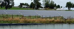 Producción láctea y alza energética: Un tercio de las lecherías certificadas  opera ya con energías renovables en Chile