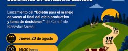 Seminario analizará la longevidad y toma de decisiones en el rebaño lechero