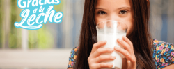 Lácteos y su aporte: Gracias a la Leche presenta nueva publicación