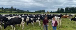 Los avances sectoriales:  La sustentabilidad láctea está en marcha