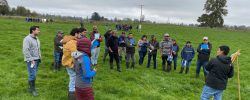 En día de campo en Río Negro: Consorcio Lechero presentó nueva Guía de Campo sobre manejo de pastoreo