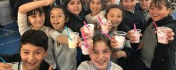 Día Mundial de la Leche Escolar: Lácteos, aliados infaltables de los estudiantes.