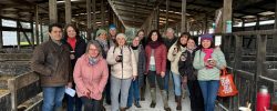 IDF Women in Dairy Report: Destacan labor de GTT Mujeres en Acción