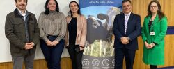 Antimicrobianos: Médicos veterinarios actualizaron conocimientos en Chillán.