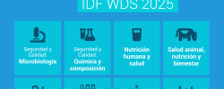 Plazo hasta el 30 de mayo: Participa en el Concurso de Abstracts & Posters IDF WDS 2025