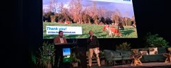 Agricultura de Precisión en la Industria Lechera: Estrés calórico, IA y tecnologías