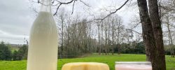Investigadores del Comité Científico de Lácteos:  Lancet publica estudio de nutricionistas chilenos que analizó  con inteligencia artificial cómo se alimentan más de cien países