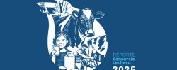 Reporte Consorcio Lechero 2025