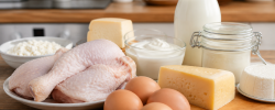 Triada pollo, huevos y lácteos:  Expertos proponen tres alimentos clave para  mejorar la dieta proteica de los chilenos