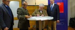 ¿Cómo es la leche que se produce en Chile? Indicadores Sectoriales presentan resumen de la recepción en plantas procesadoras