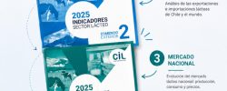 Área de Información e I+D del Consorcio Lechero: Conocimiento para el desarrollo del sector lácteo de Chile