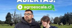 Programa Agro Escala abre postulaciones para su sexta generación